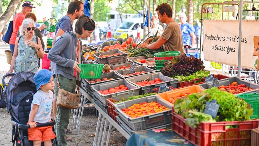 Ville de Montpellier - Le Festival de la Tomate est de retour ce dimanche