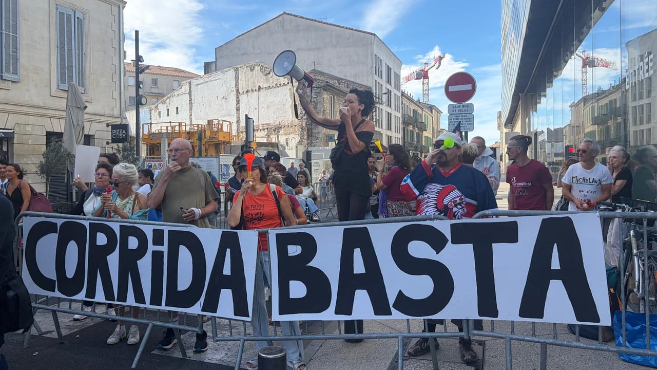 InfOccitanie - A.F / Manifestation anti-corrida Nîmes