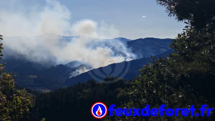 Feux de forêt - Incendie Désaignes