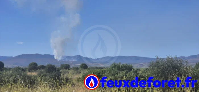 Feux de forêt - Incendie à Opoul-Périllos