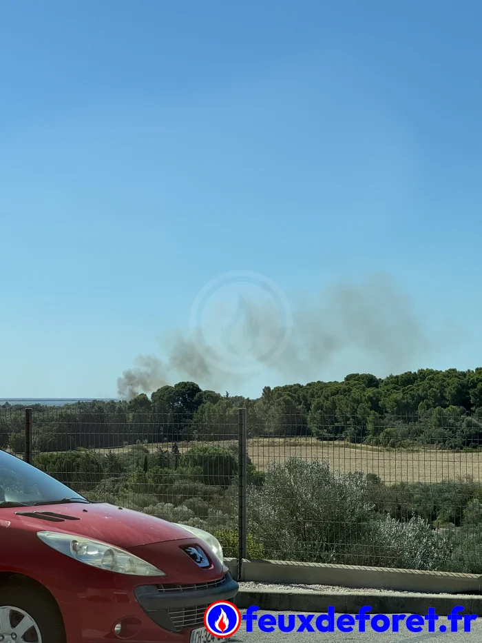 Incendie à Villeneuve-lès-Maguelone