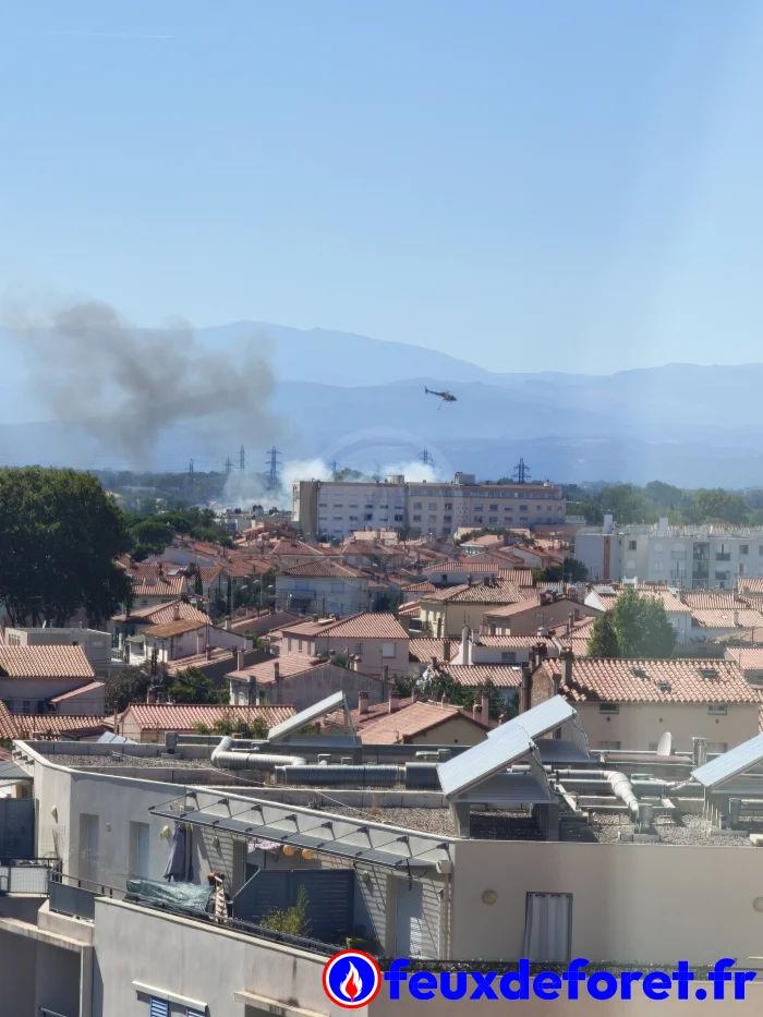 Feux de forêt - Incendie Perpignan