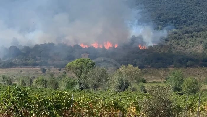 Feux de forêt / Incendie Cessenon-sur-Orb