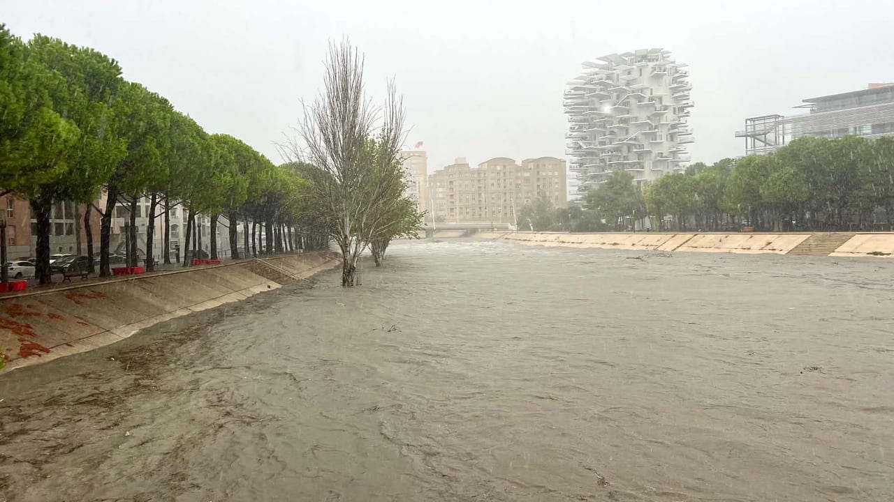Photo : Linda Mansouri. Lez, Montpellier, Port Marianne, 30 septembre 2026.