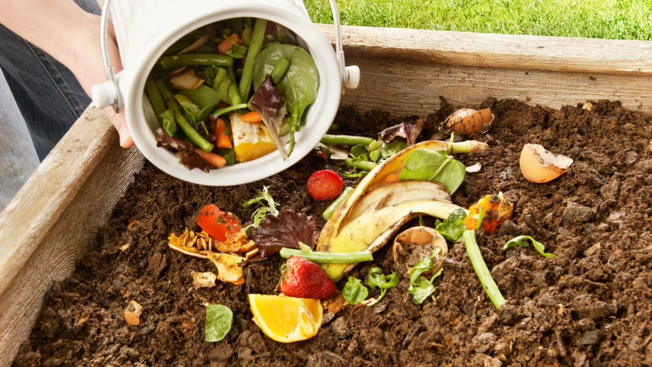 Photo d'illustration - Compost