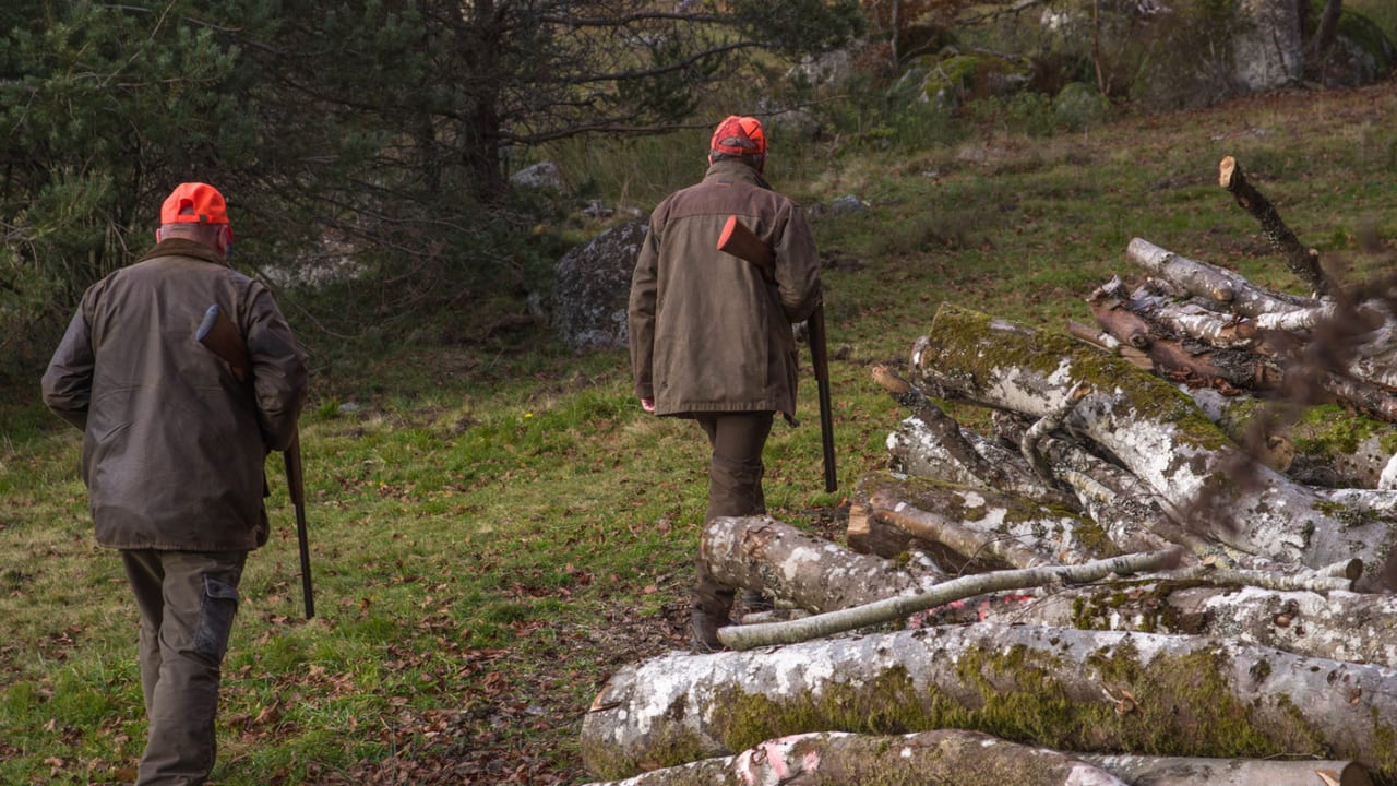 Photo d'illustration - Chasseurs