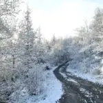 Gelées blanches météo