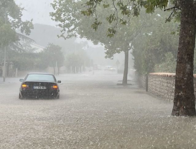 2C01DA83-4C14-422F-ABCD-BBF4B0E03ACC