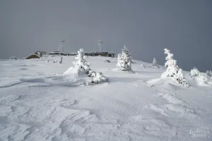 Le Mont Aigoual sous la neige - ©️ DAVID GUERRE PHOTOGRAPHIE