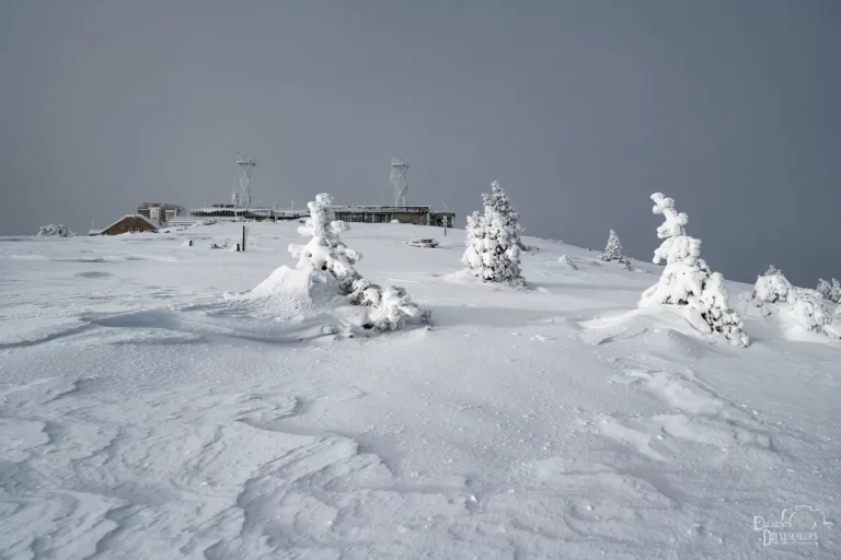 Le Mont Aigoual sous la neige - ©️ DAVID GUERRE PHOTOGRAPHIE