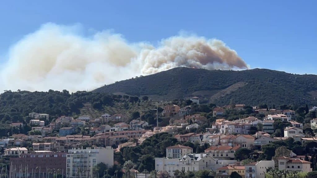 pyr-n-es-orientales-attis-par-une-forte-tramontane-un-feu-de-for-t