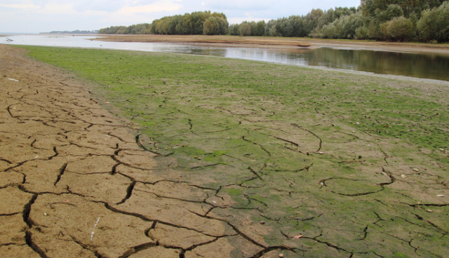 Hérault : Situation Hydrologique Critique Dans Certains Secteurs Du ...