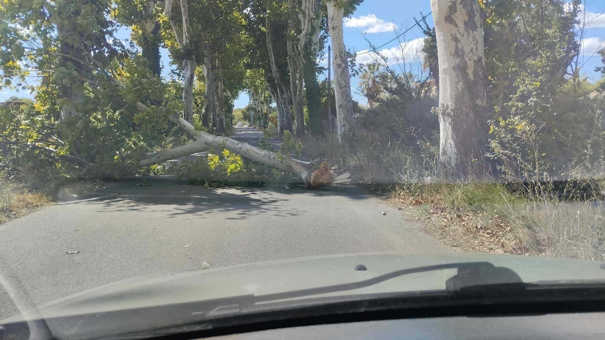 vent violent météo