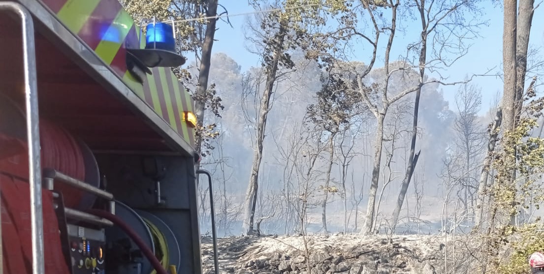 Hérault Firefighters Battle Vegetation Fire near Assas in Hérault