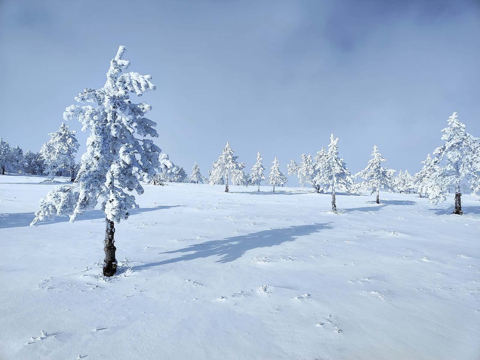 Neige Lozère météo