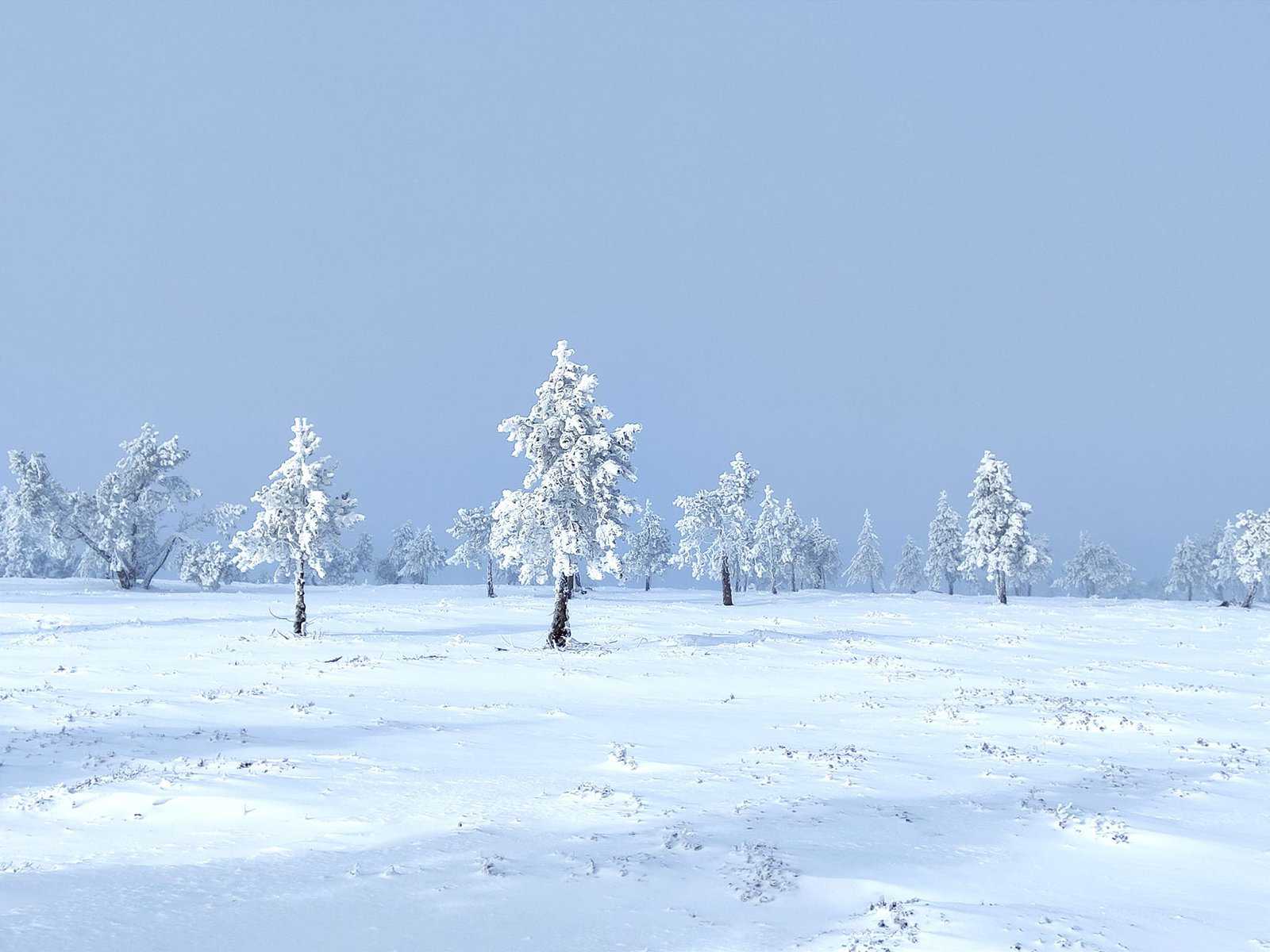 neige météo Lozère