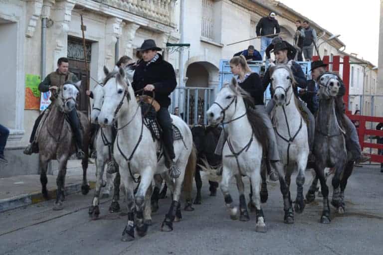 Fête de la Saint-Vincent
