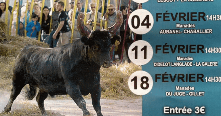 encierro Bellegarde 2024