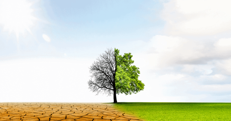 conférence écologique à Nîmes