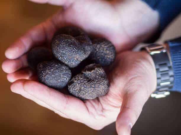 truffe