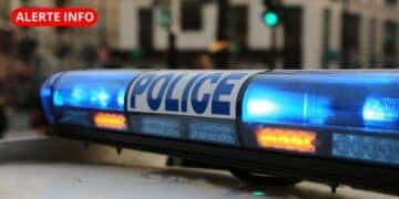 Autoroute A9 : 800 kg de cannabis saisis dans le Gard cette nuit par les autorités