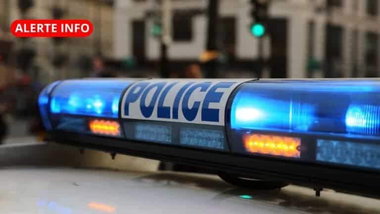 Autoroute A9 : 800 kg de cannabis saisis dans le Gard cette nuit par les autorités