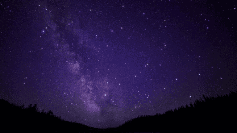 Deux études sur l’impact de la pollution lumineuse sur les insectes nocturnes en Cévennes