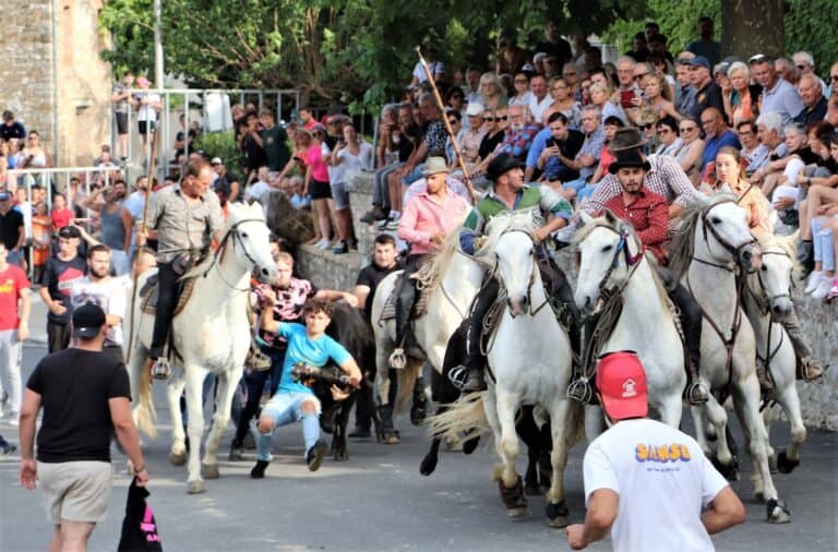 fête Saint-Maurice-de-Cazevieille
