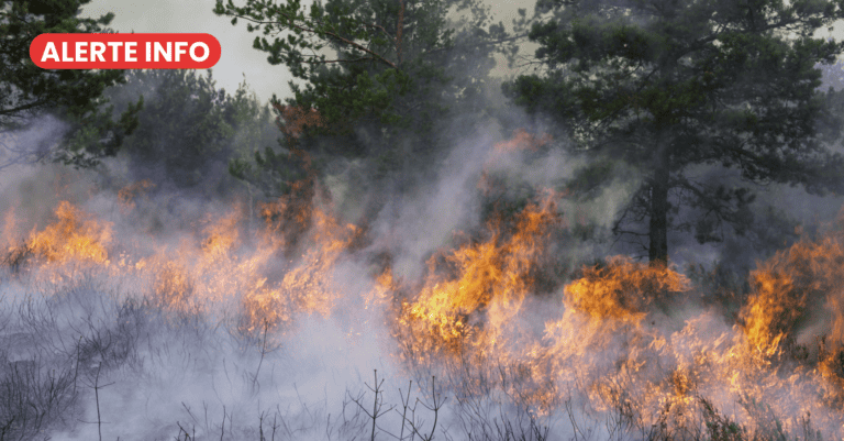 ALERTE INFO - photo d'illustration - Infoccitanie