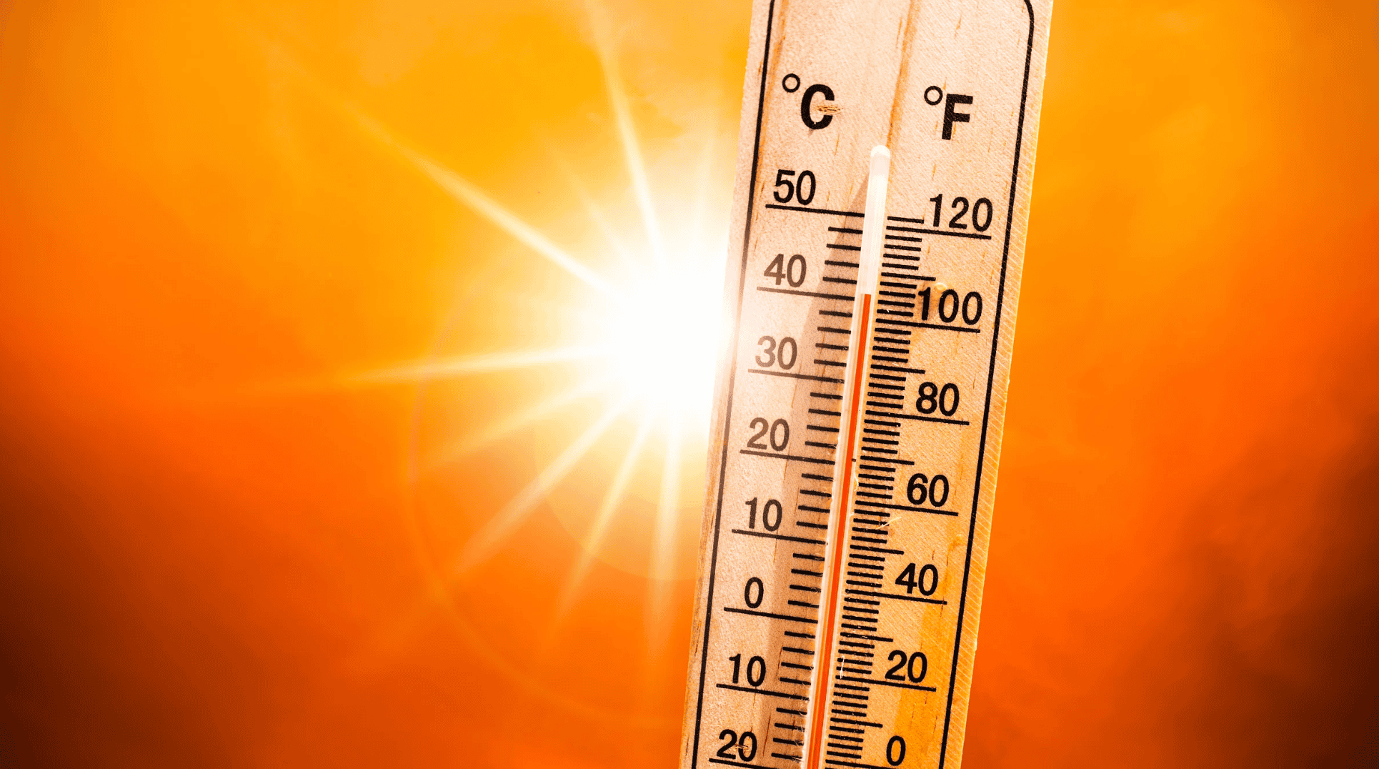 chaleur météo