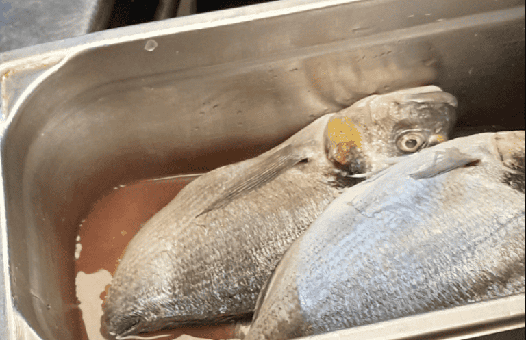 Photo : Préfet du Gard