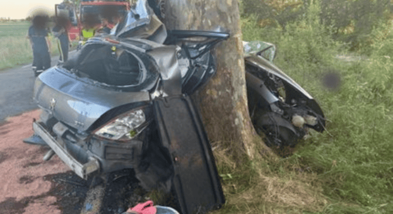 Accident mortel dans le Gard : photo Gendarmerie du Gard - DR