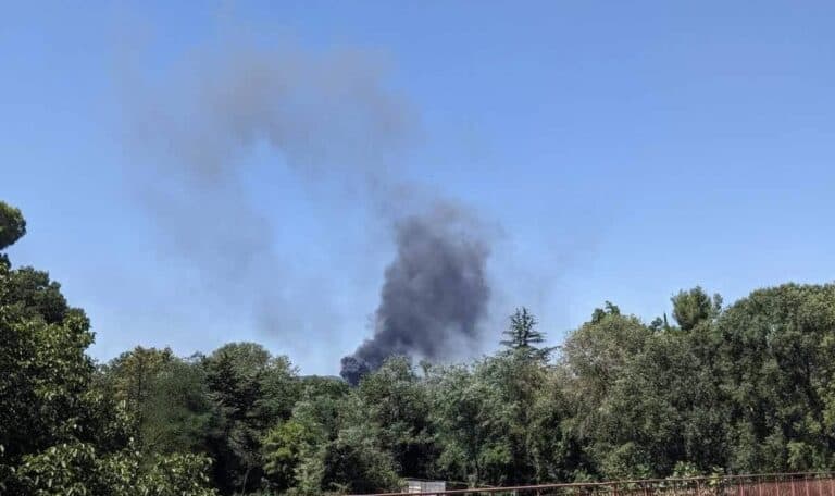 Feu de végétation près de Pignan dans l'Hérault