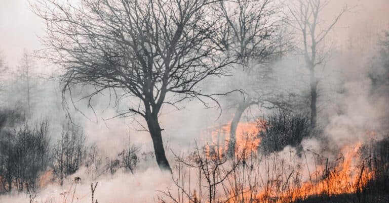 Incendie sur l'A75 - Photo d'illustration