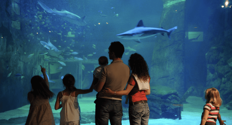 Photo - Gard Tourisme