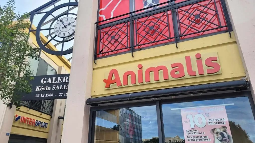 Polygone に向けた新ブランド、Animalis