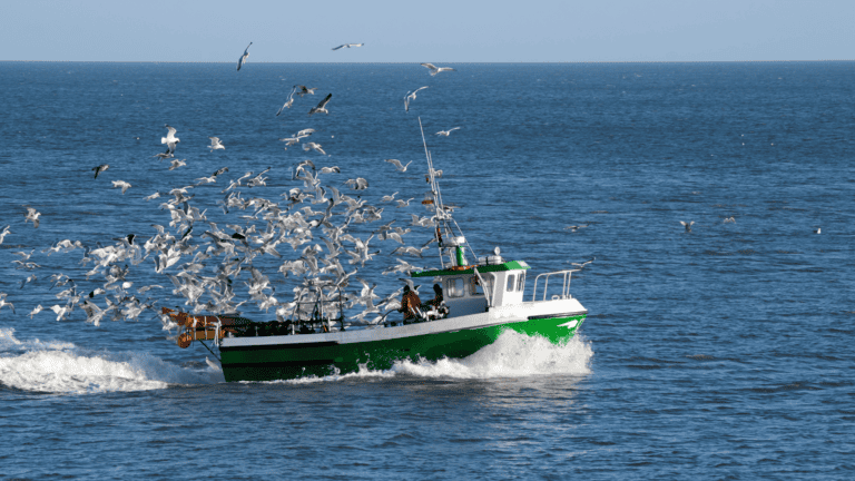 La filière pêche en Occitanie signe son contrat 2024-2026 pour un modèle plus durable.