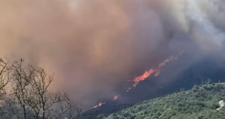 Feu Camelas Pyrénées-Orientales
