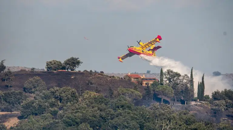 Feu de Camélas dans les Pyrénées-Orientales. ANTHONY MONTARDY - SDIS 66