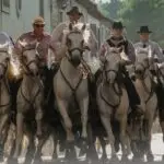 Finale du concours d’abrivado à Nîmes