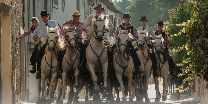 Finale du concours d’abrivado à Nîmes