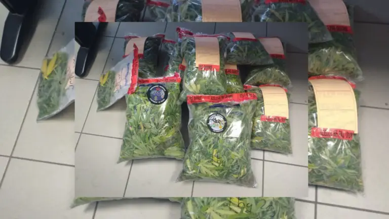 crédit photo : Gendarmerie du Gard