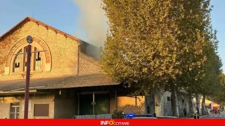 Feu cave coopérative Manduel Gard - infoccitanie