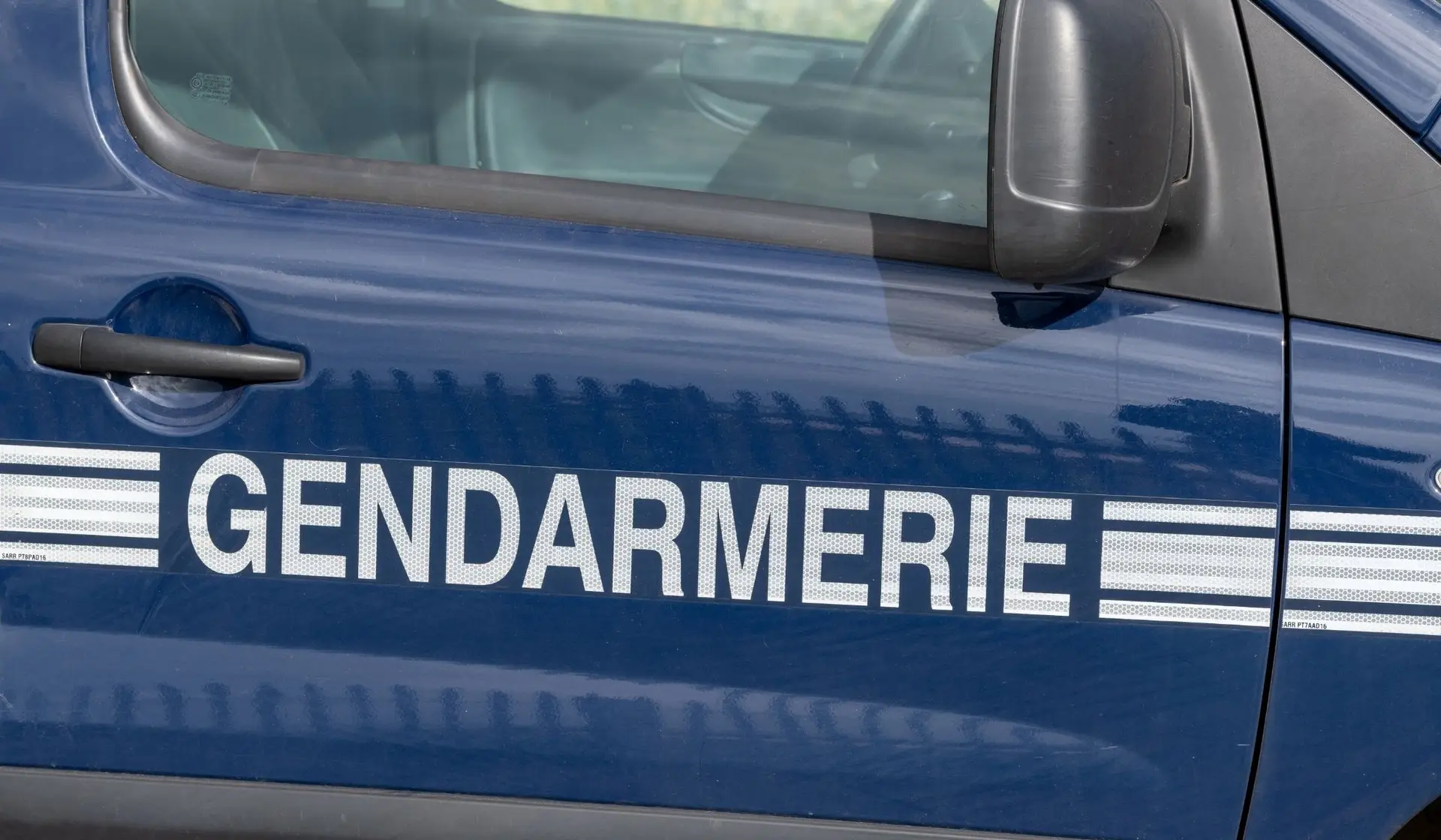 trafic de palourdes - photo d'illustration - infOccitanie