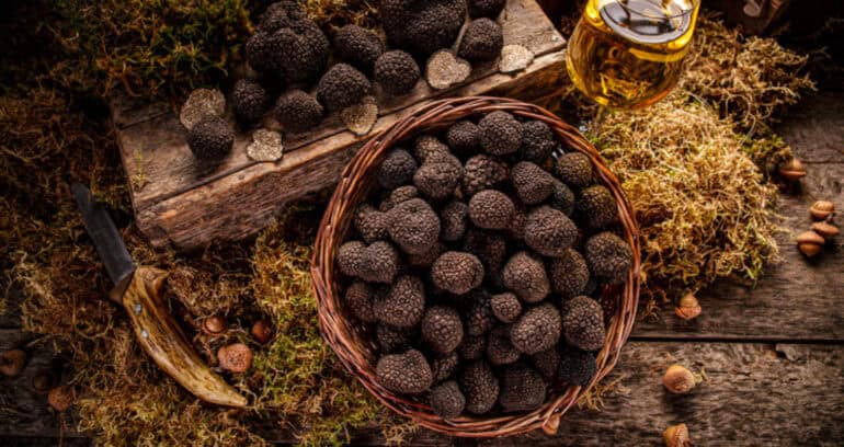 truffes